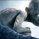 Une date pour le retour de Gollum au cin�ma en 2027