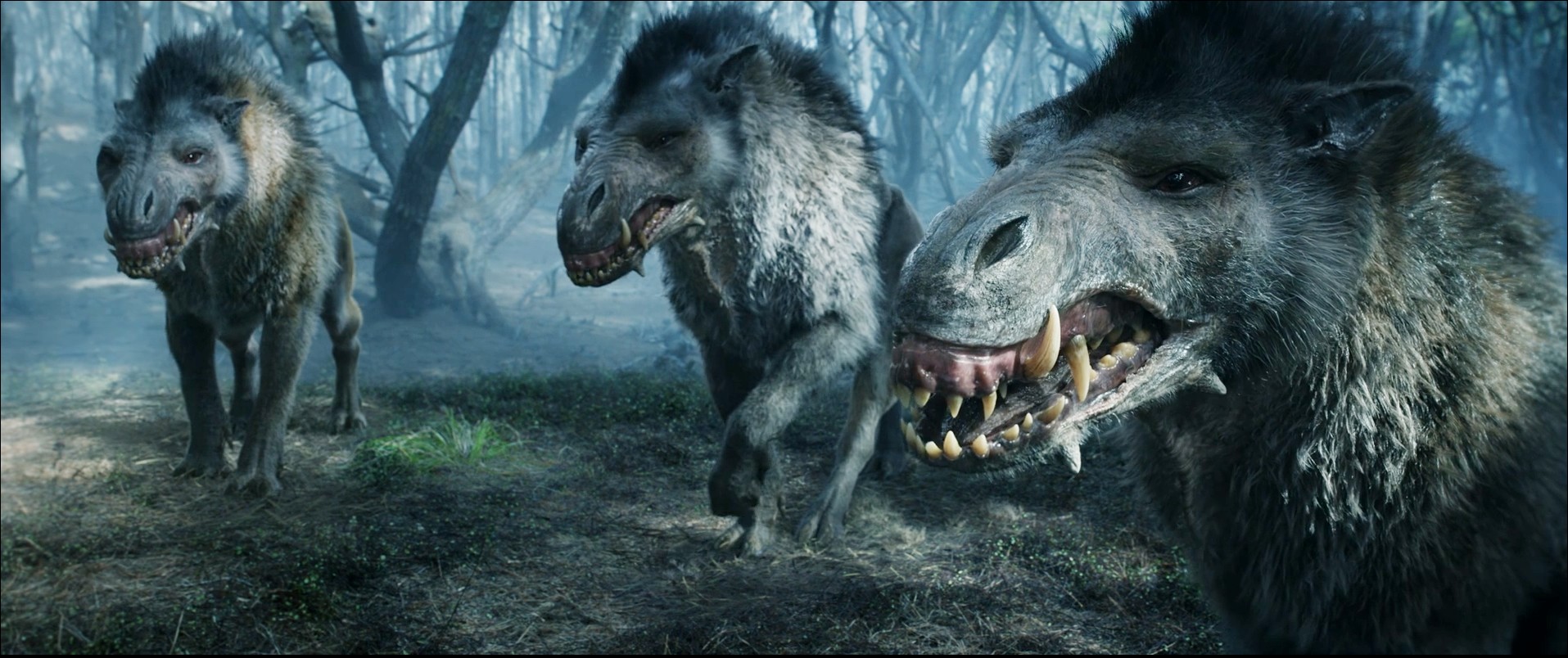 loups, Le Seigneur des Anneaux : Les Anneaux de Pouvoir