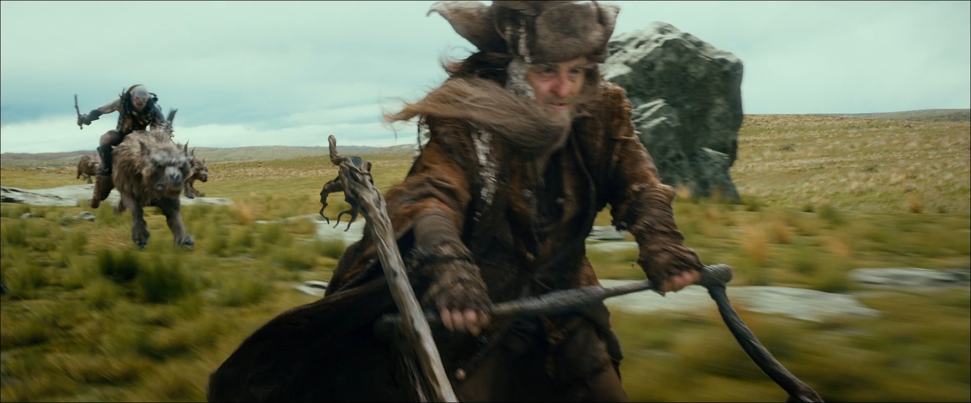Radagast, Le Hobbit : Le Voyage inattendu